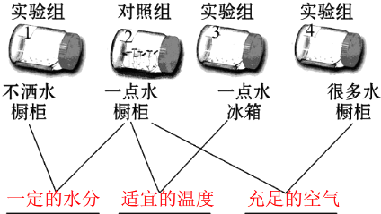 澳门新葡平台网址8883