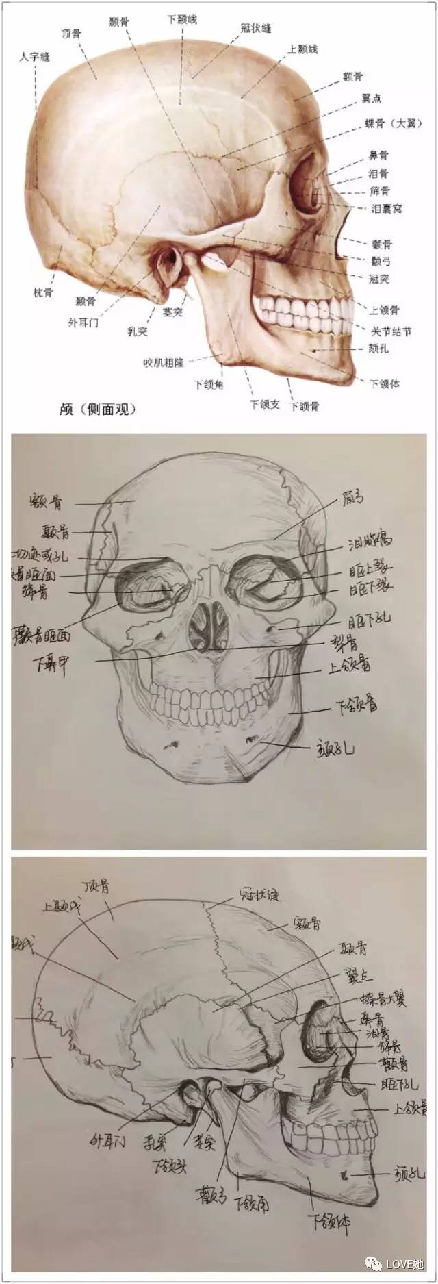 澳门新葡平台网址8883